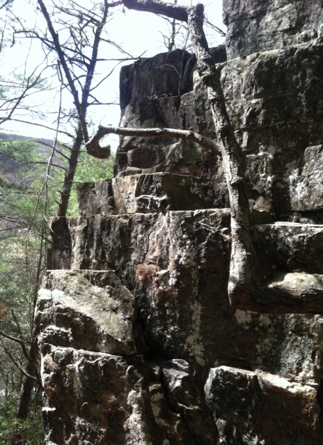 The beautiful delicate pink on the rocks in the river is stunning.